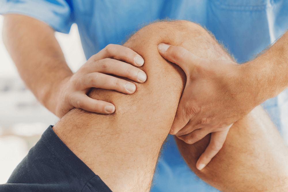 holistic chiropractic services offering in the Florida Gulf Coast Region-12