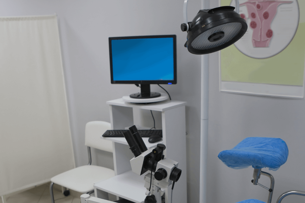holistic chiropractic services offering in the Florida Gulf Coast Region-15