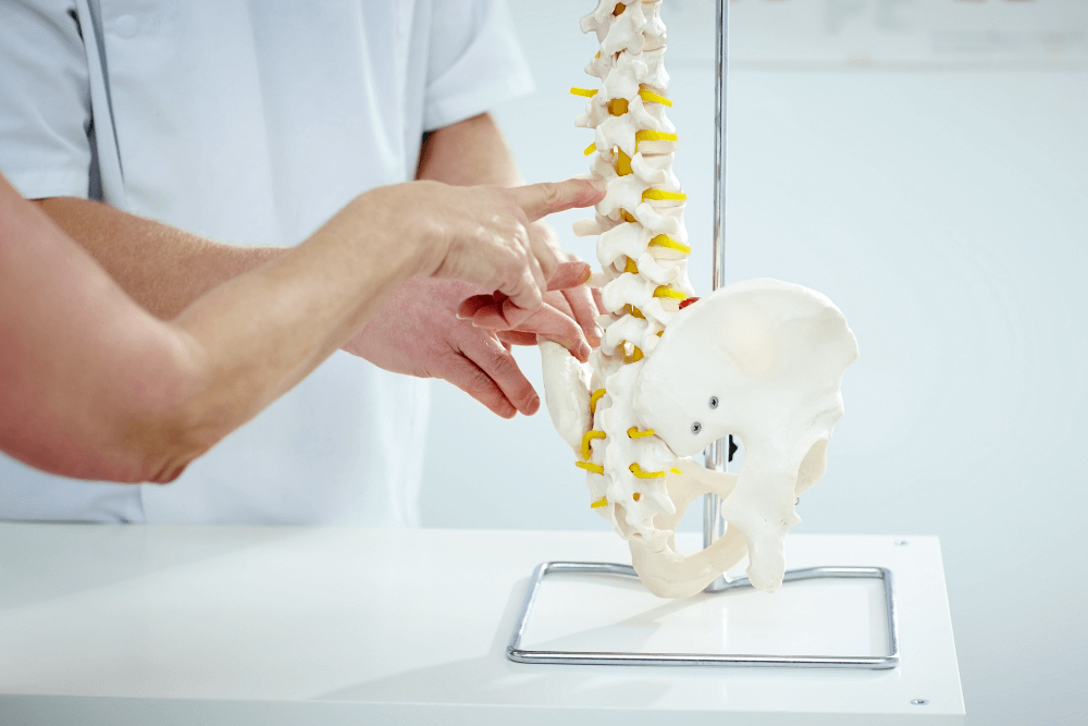 holistic chiropractic services offering in the Florida Gulf Coast Region-18
