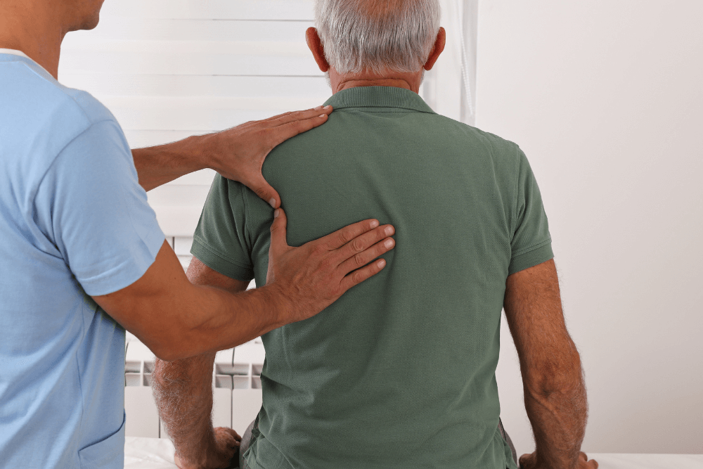 holistic chiropractic services offering in the Florida Gulf Coast Region-8